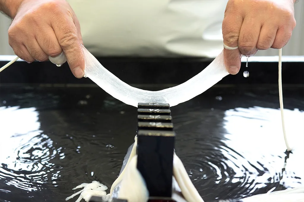 Comprehensive catalog of premium natural sheep and goat casings for international export